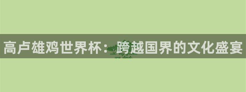 今天所有足球赛程表:高卢雄鸡世界杯:跨越国界的文化盛宴