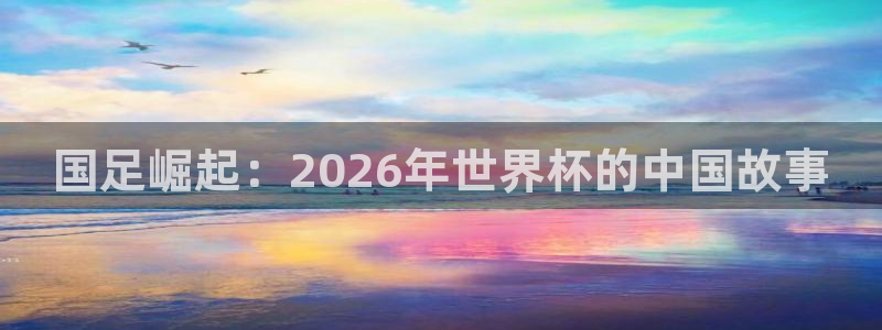 世界杯预选赛欧洲区赛程:国足崛起:2026年世界杯的中国故事