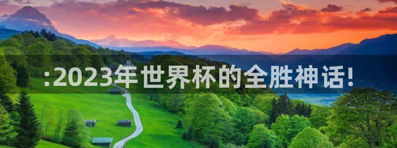 2026世界杯南美区积分榜::2023年世界杯的全胜神话!