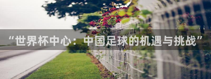 世界杯预选赛亚洲区赛程:“世界杯中心:中国足球的机遇与挑战”