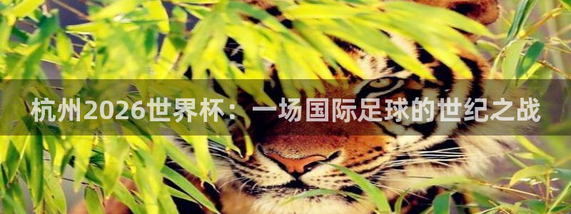 世界杯预选赛欧洲:杭州2026世界杯:一场国际足球的世纪之战