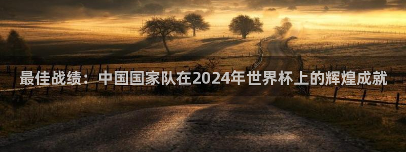 世界杯比赛赛程:最佳战绩:中国国家队在2024年世界杯上的辉煌成就