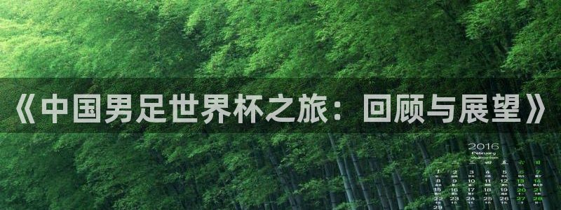 足球杯:《中国男足世界杯之旅:回顾与展望》