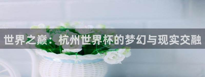 澳门世界杯直播:世界之巅:杭州世界杯的梦幻与现实交融