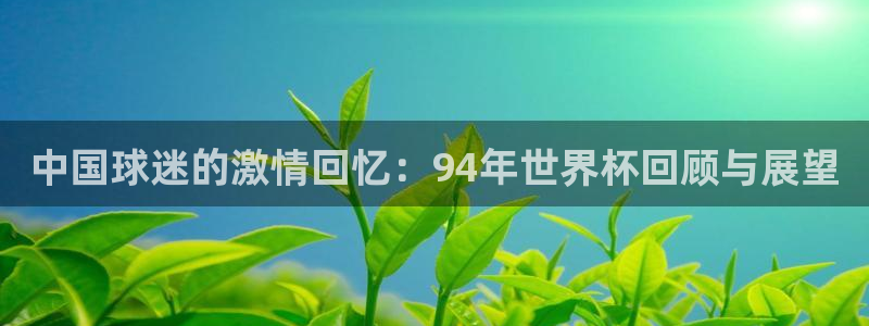 世界杯决赛直播:中国球迷的激情回忆:94年世界杯回顾与展望